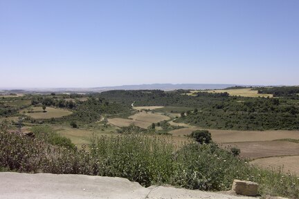 pic 0067