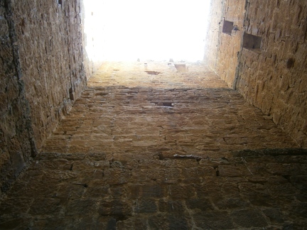 P8280106